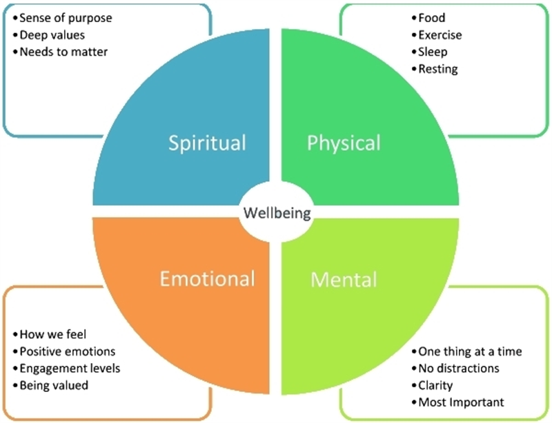 Value now. Система well being. Модель Wellbeing. Emotional well-being. Well being факторы.